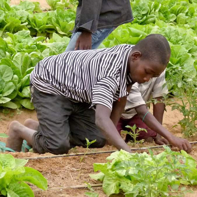 Our agricultural program to mitigate adverse effect of hunger in rural communities in Nigeria